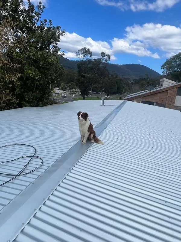 Valley Plumbing